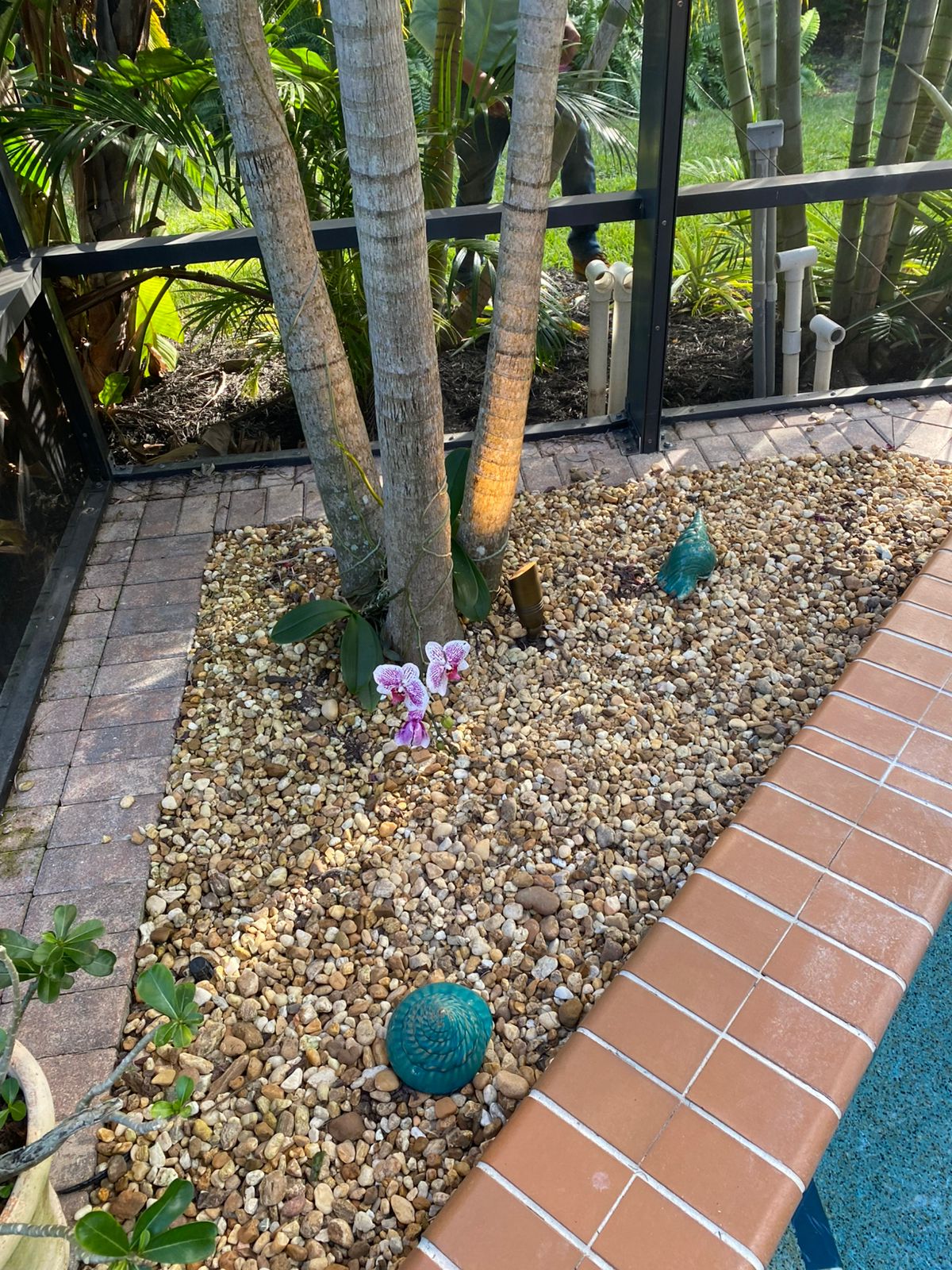 Poolside planting bed with accent light