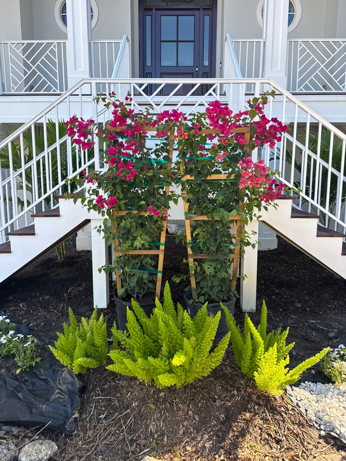 Front stairs with fresh landscaping installation