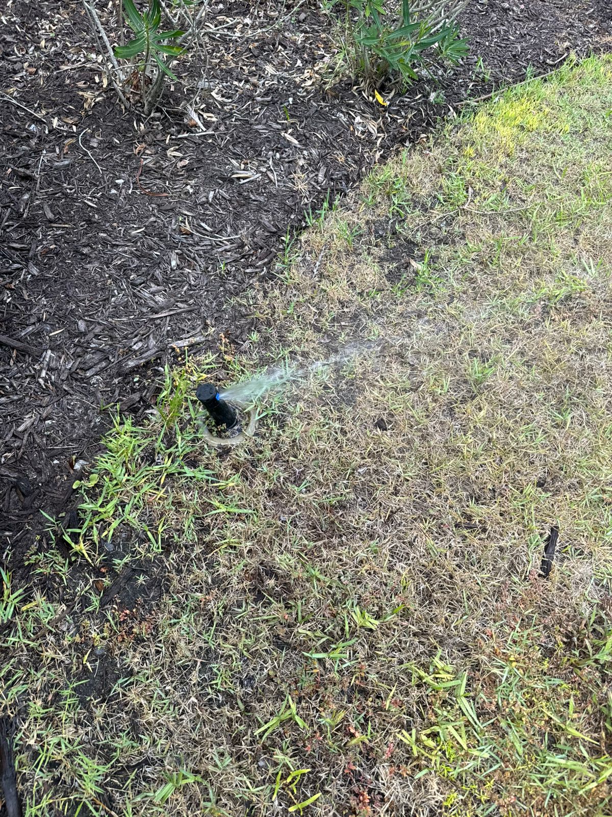 Sprinkler watering turf and planting beds